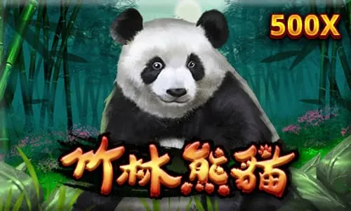 竹林熊貓