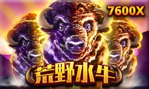 荒野水牛